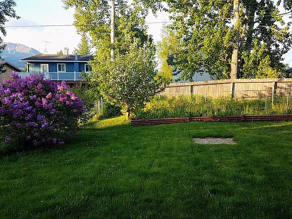 Lilac bush and Apple tree in backyard.