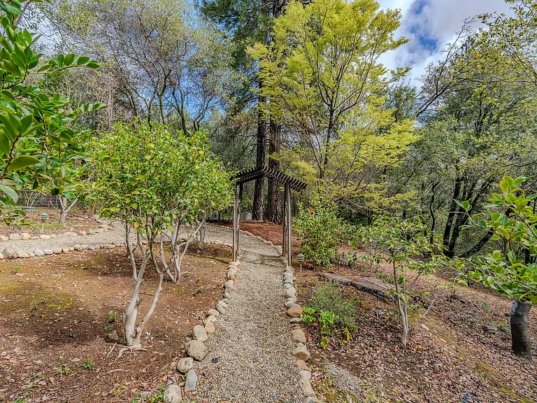Narcissus Rd — Photo 24