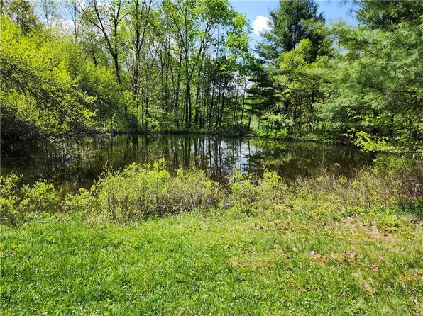 Houck Rd Lot 13, Masonville, NY 13804