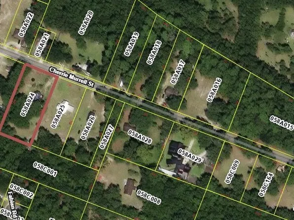 145 Cherrie Murrell Rd, Hinesville, GA 31313