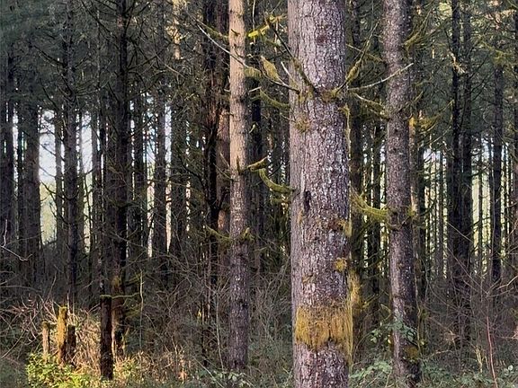 2nd image of 0 Seminary Hill Road