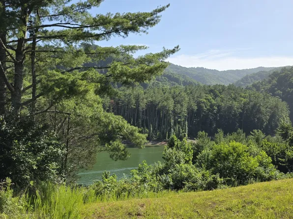 Lake View Dr, Butler, TN 37640
