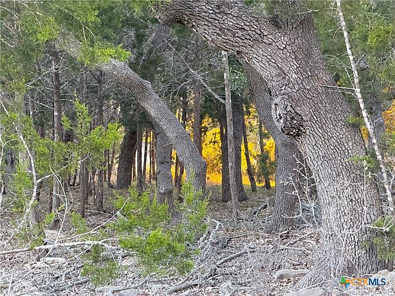 5th image of 209 Legacy Rdg