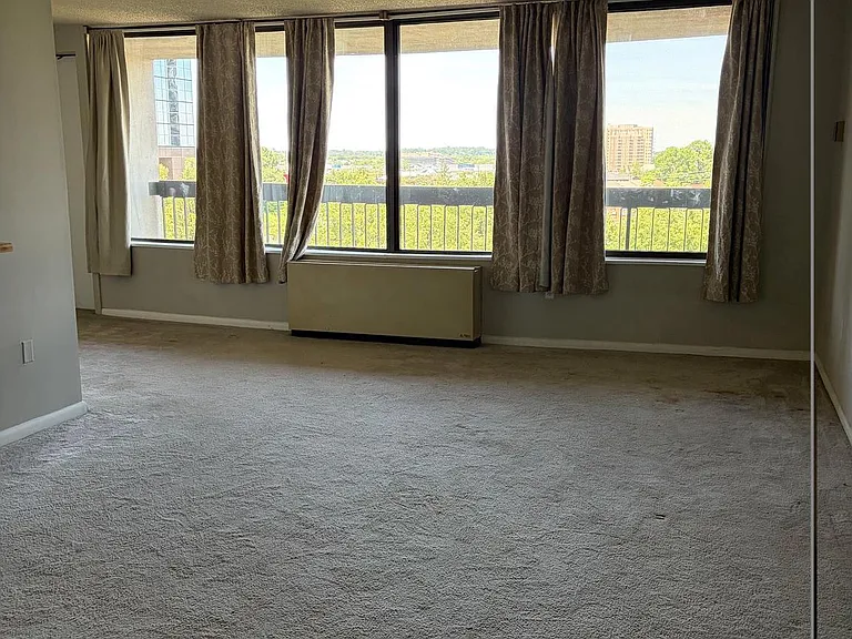 3701 S George Mason Dr #808N — Photo 7