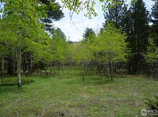 964 Ski Rd, Allenspark, CO 80510