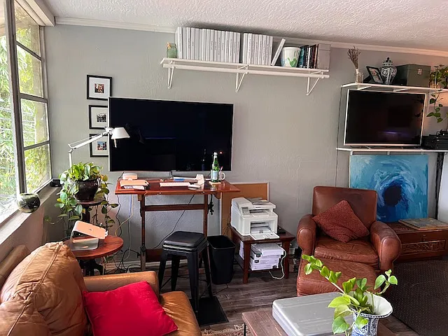 Studio, 450 sqft, $1,250 — Photo 3
