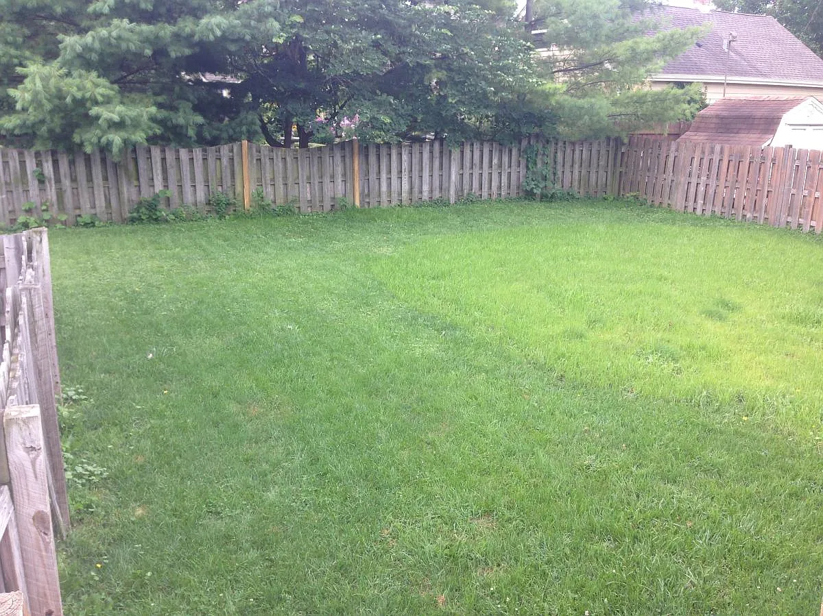 Back Yard - 1107 Edwards Ave