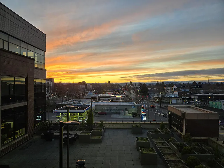 View from #516