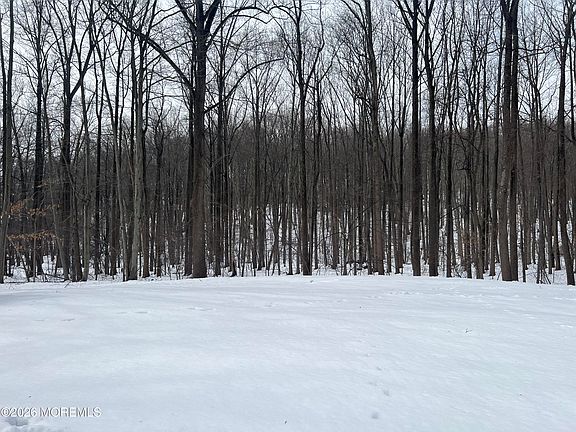 2nd image of 103 Reids Hill Road