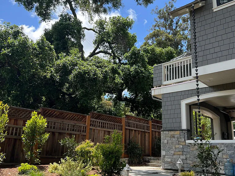View from the backyard