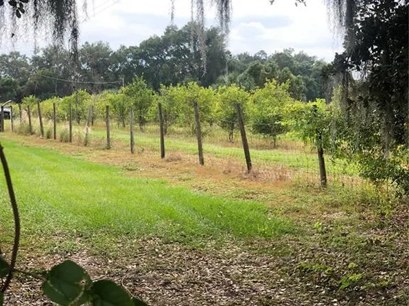 Gavin Rd, Dover, FL 33527