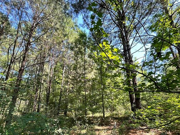 Homesite with Timber