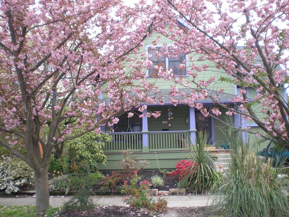 spring on Clatsop