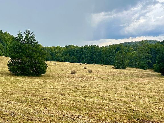 4th image of 442 Newburn Hollow Rd