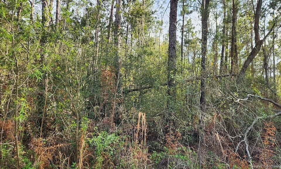 2nd image of 0 Olsen Rd