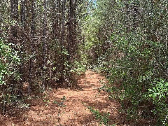 4th image of 0 N Rock Creek Rd