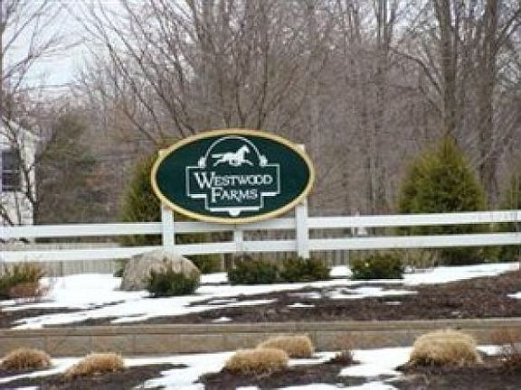 3rd image of 12312 Paddock Cir