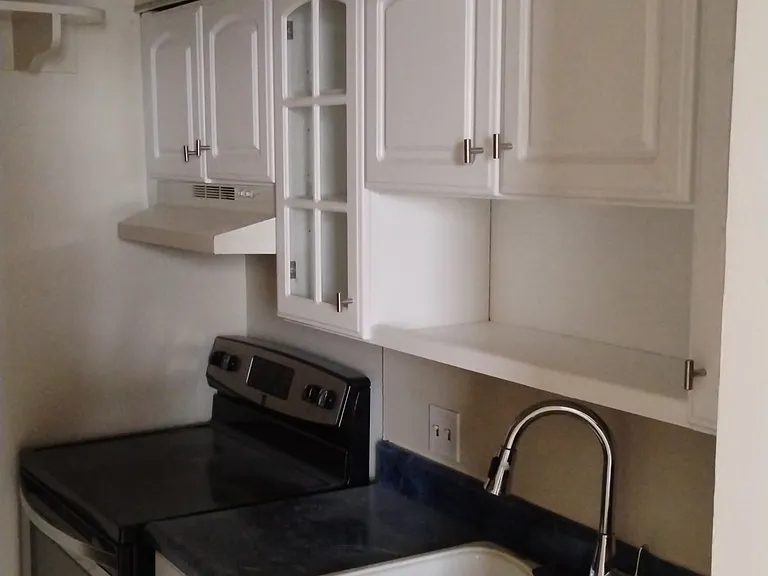 1 E Chase St #511 — Photo 20