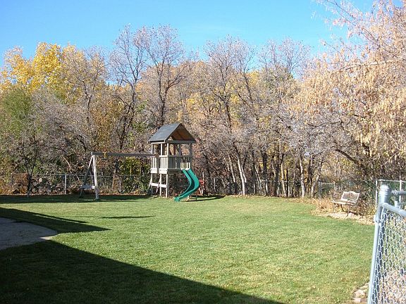 wooded hallow/back yard