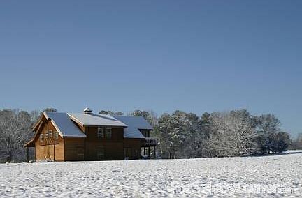 View from the orchard