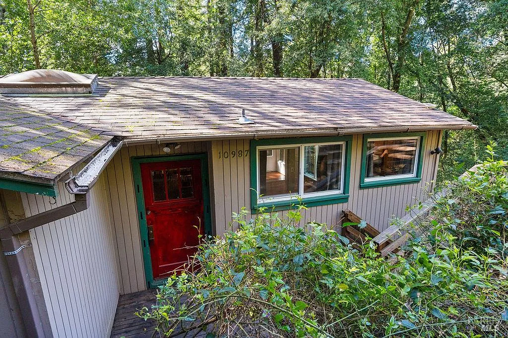 10987 Terrace Drive photo 1