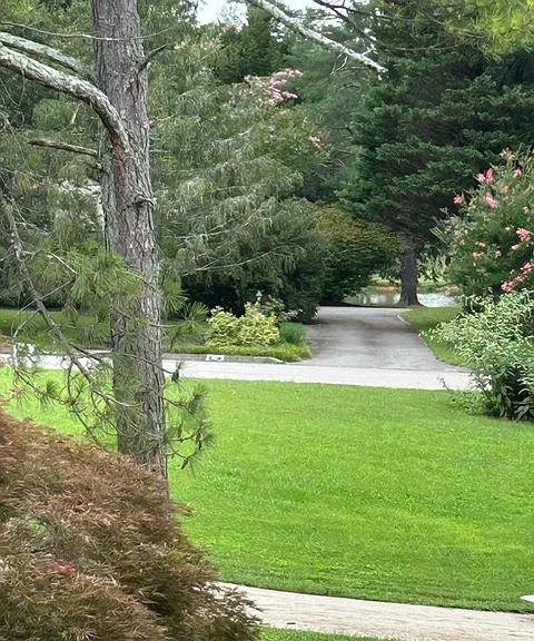 458 E Fox Den Dr — Photo 3
