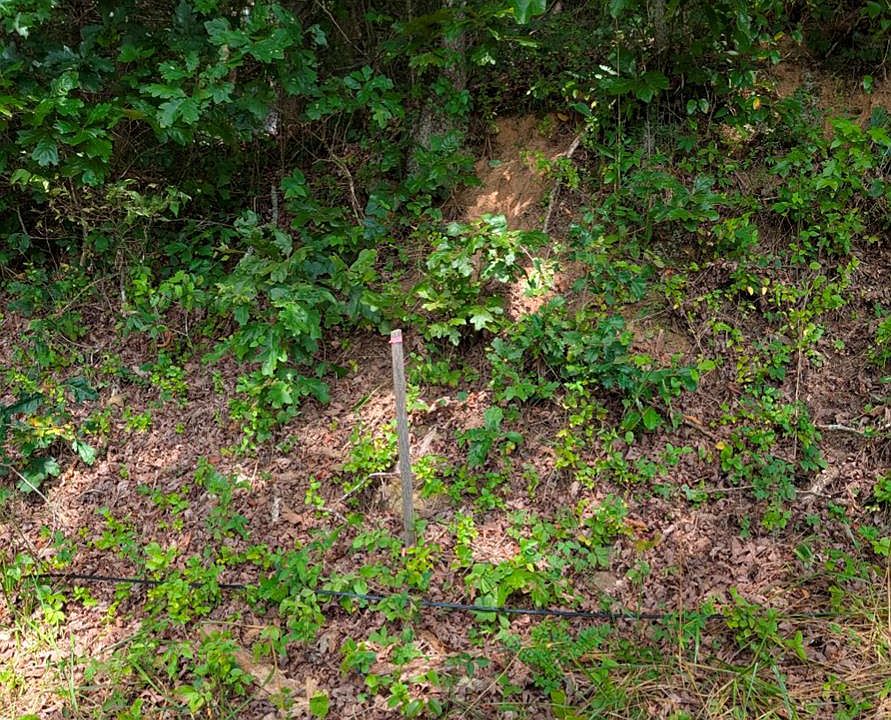 2nd image of 6.0 Old River Camp Rd