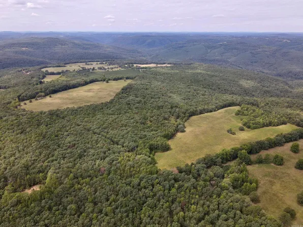 (undisclosed Address), Clinton, AR 72031