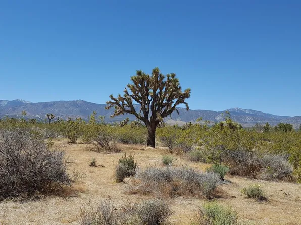 13221 Ponderosa Rd, Pinon Hills, CA 92372