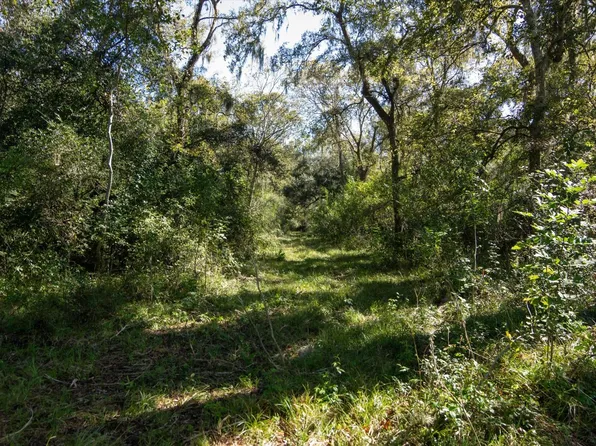 0 County Road 611, Angleton, TX 77515