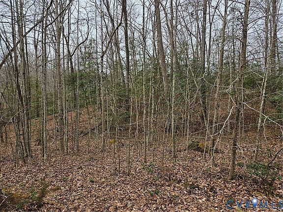 3rd image of 9905 Old Dirt Rd