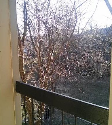 Private Balcony