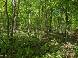 Carters Valley Loop #64-096.01, Rogersville, TN 37857