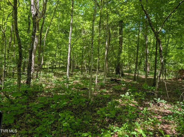Carters Valley Loop #64-096.01, Rogersville, TN 37857