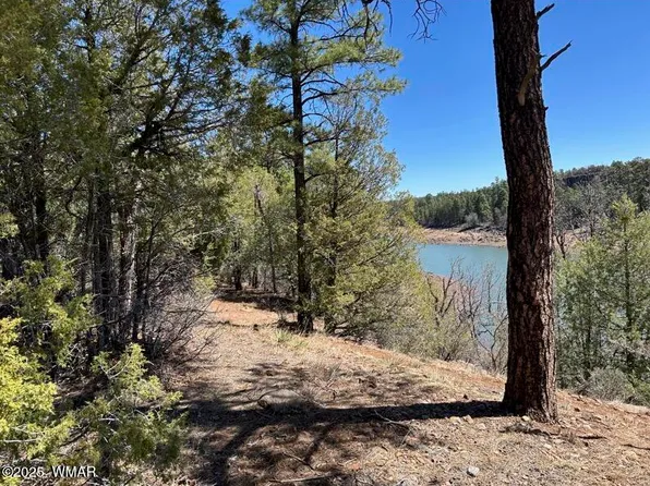 Show Low Lake Rd, Show Low, AZ 85901