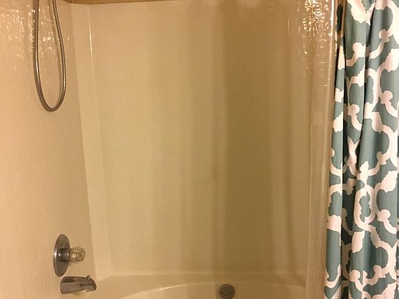 Master bathroom tub