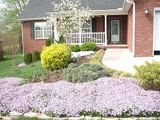 1st image of 4715 Chesney Meadows Dr