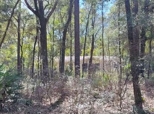 10118 SW 152nd Pl, Dunnellon, FL 34432