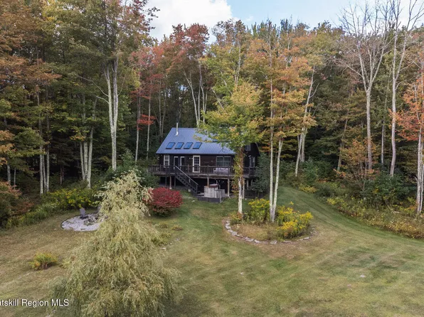 209 Alder Pond Road, Andes, NY 13731