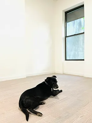 Rented by Lone Peak Realty | media 39