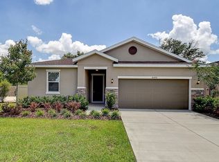 10404 Laguna Plains Dr, Riverview, FL 33578