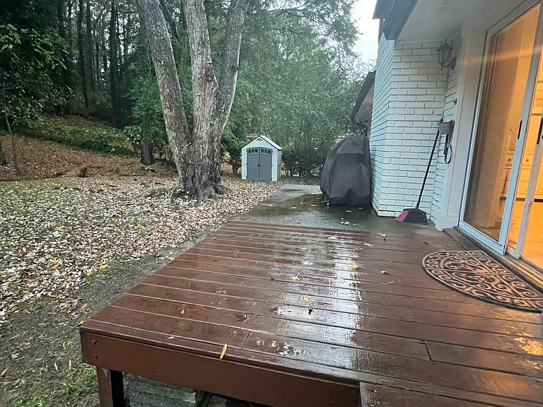 Backyard/Porch