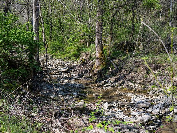 5th image of 674 Bill Layton Rd