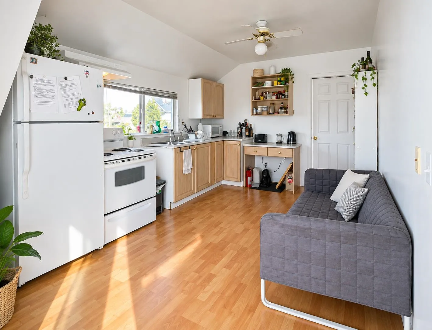 1 bed, 120 sqft, $900 — Photo 2