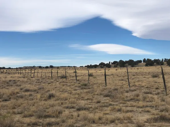 Las Animas Ranches, Model, CO 81059
