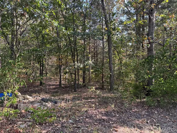 11679 State Route 21, Hillsboro, MO 63050