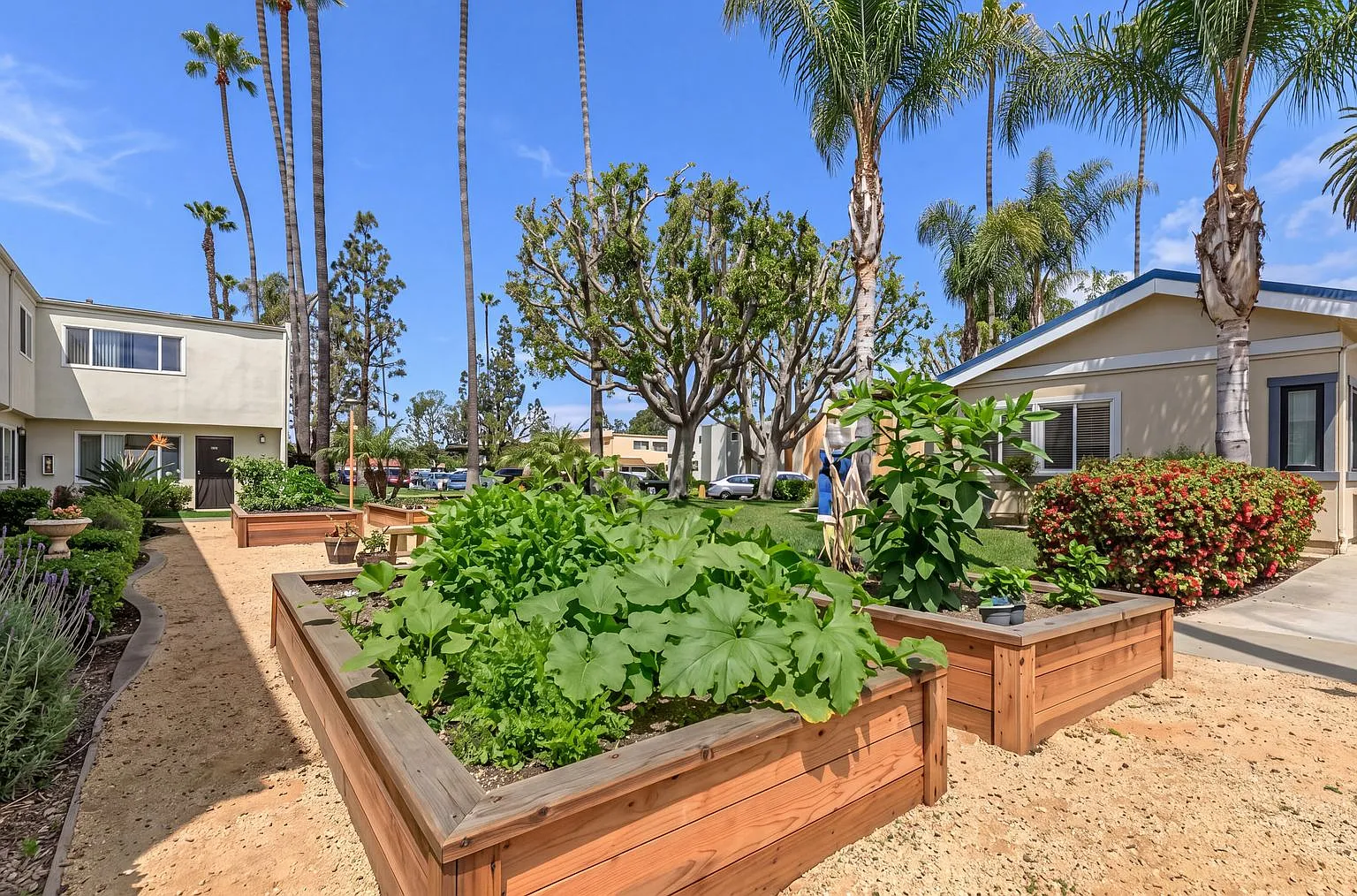 Villa Pacific Townhomes — Photo 3