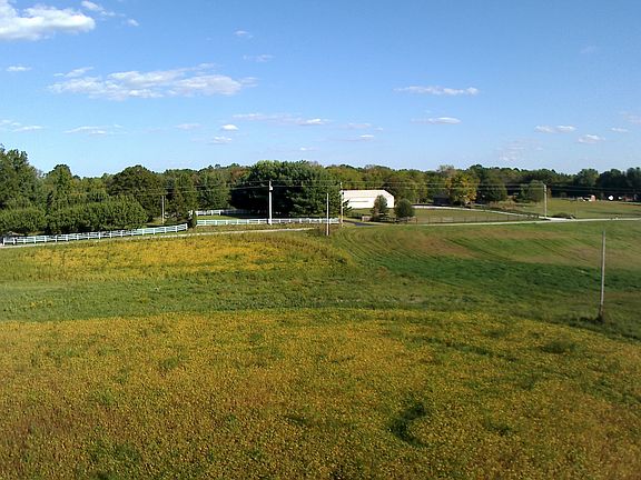 Looking to the East 