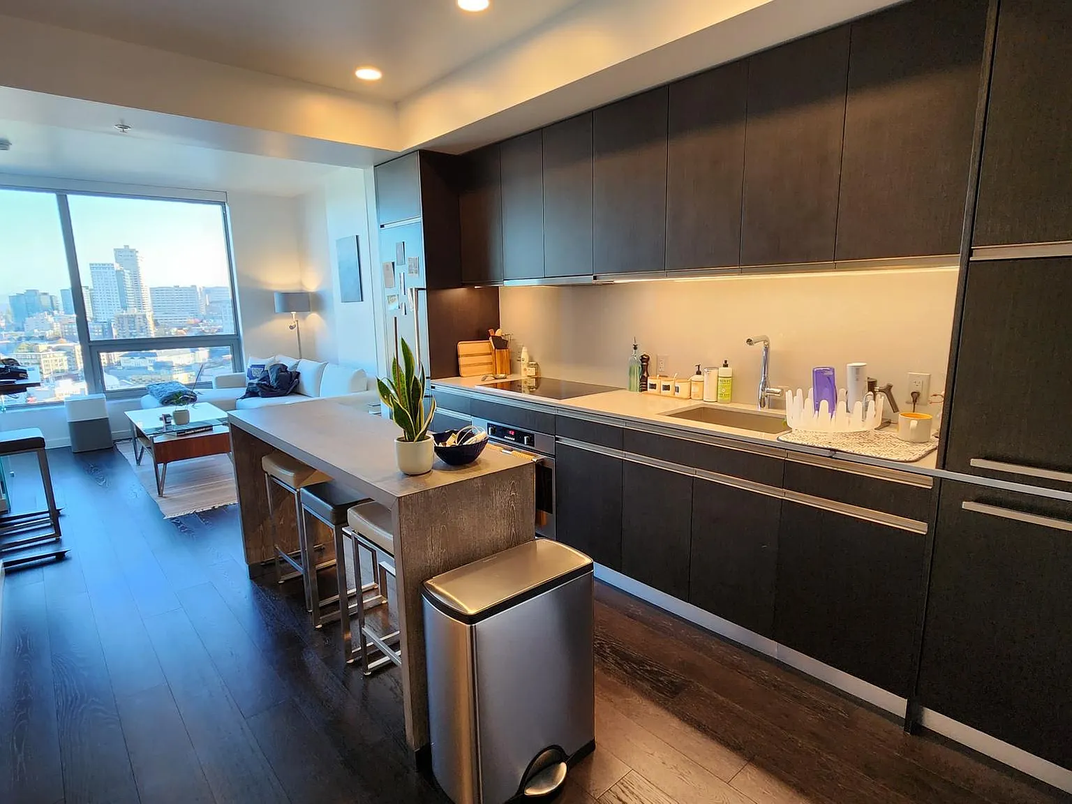 1 bed, 688 sqft, $2,900 — Photo 2