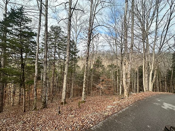 4th image of 111 Roach Rd